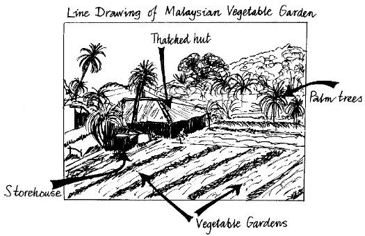 525x339 Observation - Field Sketch