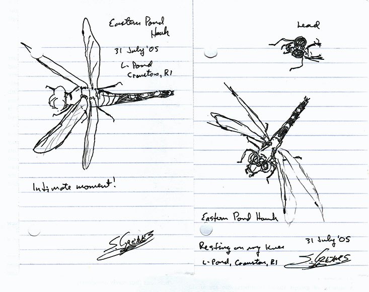733x581 Paper, Pencil, Pen, Brush The Lost Art Of Field Sketching - Field Sketch