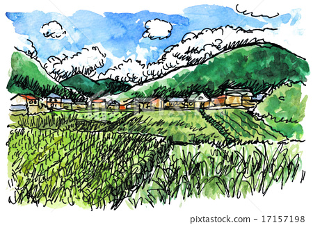 450x324 Rice Field, Sketch, Sketches - Field Sketch