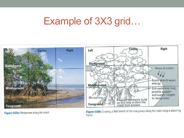 638x479 Cbss Field Sketching Training - Field Sketch
