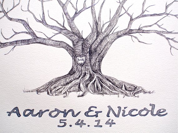 570x428 Big Roots Medium Fingerprint Moreton Bay Fig Tree Wedding Etsy - Fig Tree Sketch