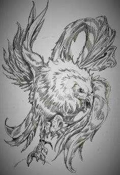 236x345 Pin By Costalonga On Paper - Fighting Rooster Sketch