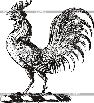 364x400 Rooster Stock Photos And Vektor Eps Clipart Cliparto - Fighting Rooster Sketch