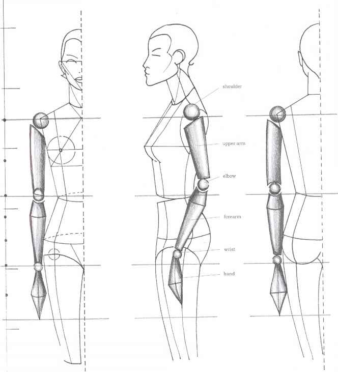 664x731 The Mouth Analysis And Structure - Figure Drawing Sketches