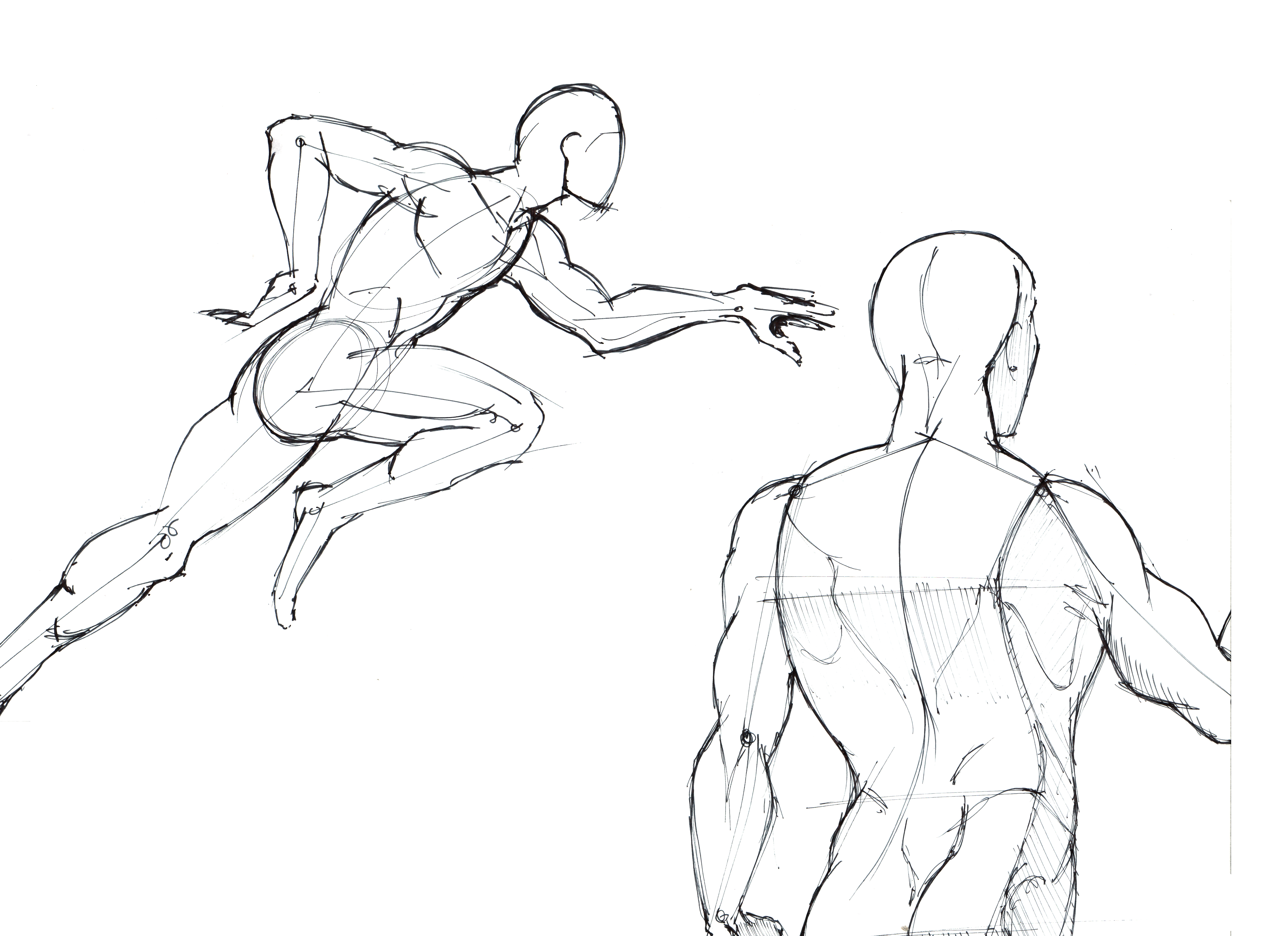 4828x3508 Figure Drawing Lineweights - Figure Drawing Sketches