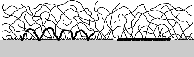 661x194 Sketch Of Predicted Final Layer Structure Resulting From - Final Sketch