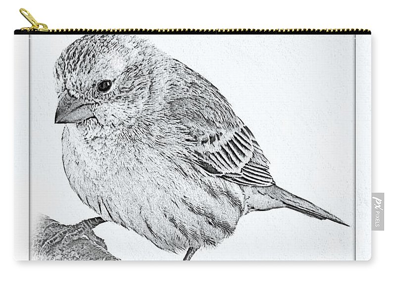 800x570 Male House Finch Sketch Carry All Pouch For Sale By Debbie Portwood - Finch Sketch