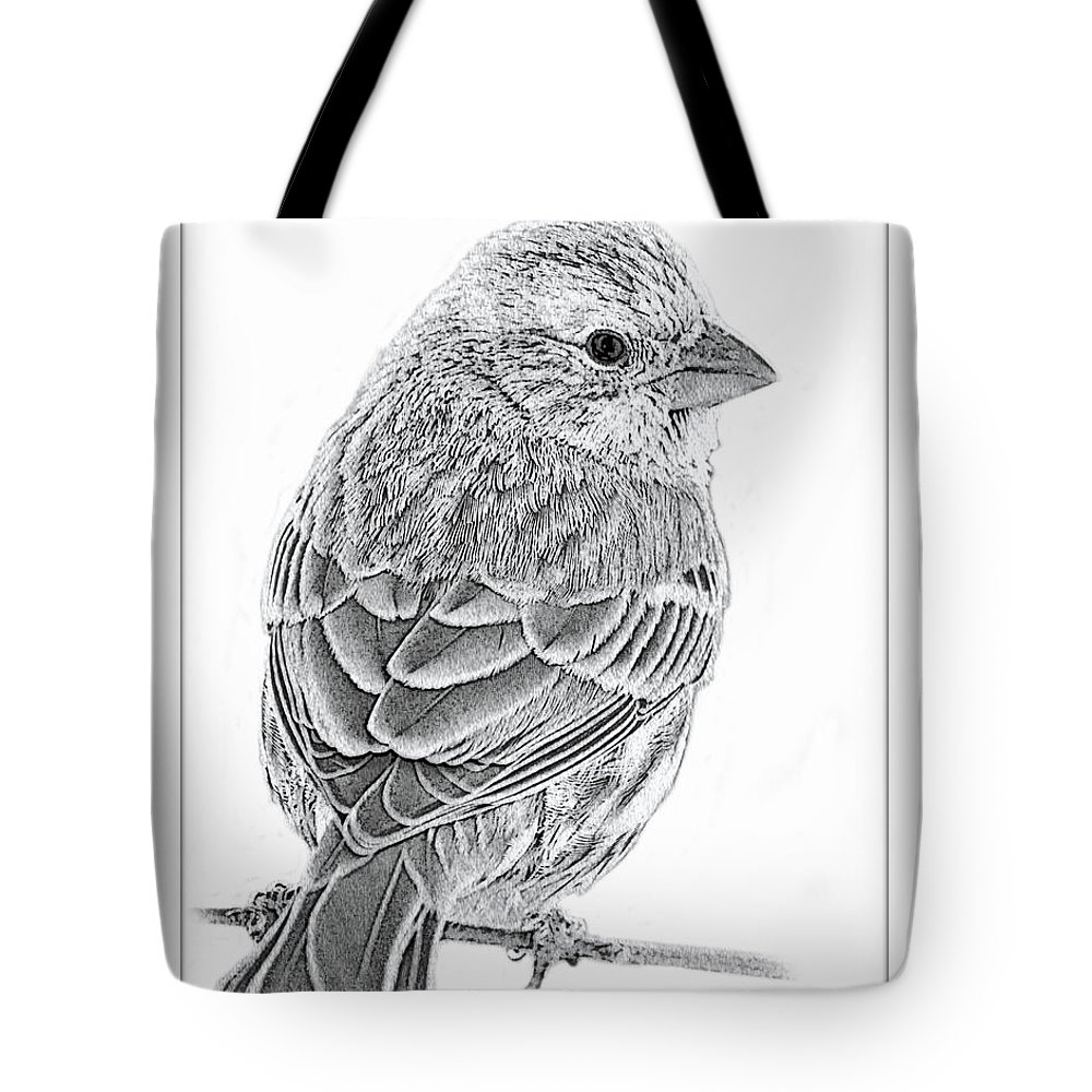 1000x1000 Male House Finch Sketch Tote Bag For Sale By Debbie Portwood - Finch Sketch