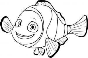 302x199 How To Draw How To Draw Nemo From Finding Nemo - Finding Dory Sketch