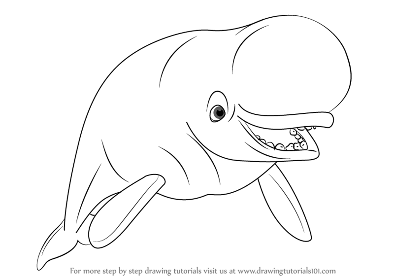 800x566 Learn How To Draw Bailey From Finding Dory (Finding Dory) Step By - Finding Dory Sketch