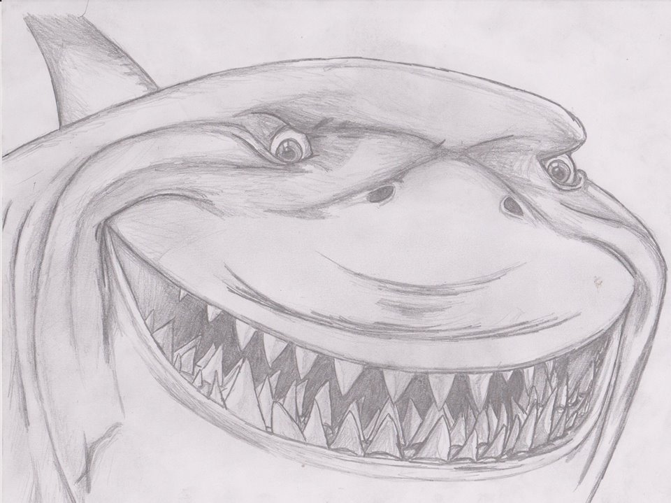 960x719 Quick Sketch Of Bruce From Finding Nemo - Finding Nemo Sketch