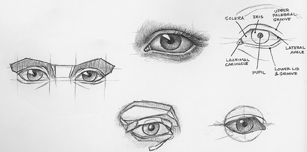 618x306 Rich Adams Fine Art Sketching My Way Through A New Book - Fine Art Sketches