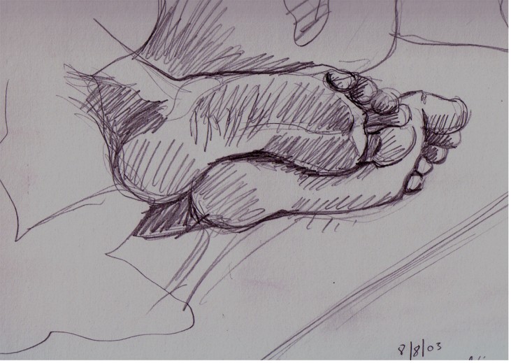 731x519 Shawn Hill Fine Artist - Fine Art Sketches