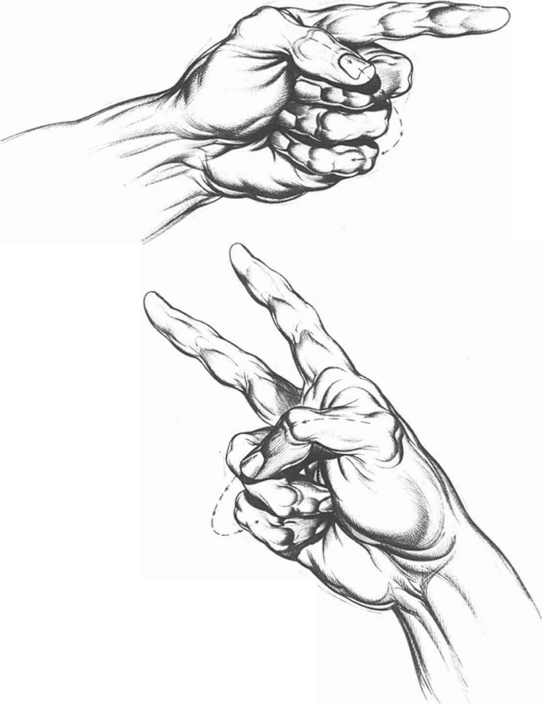 1108x1438 Kinger And Thumb Closure - Finger Sketch