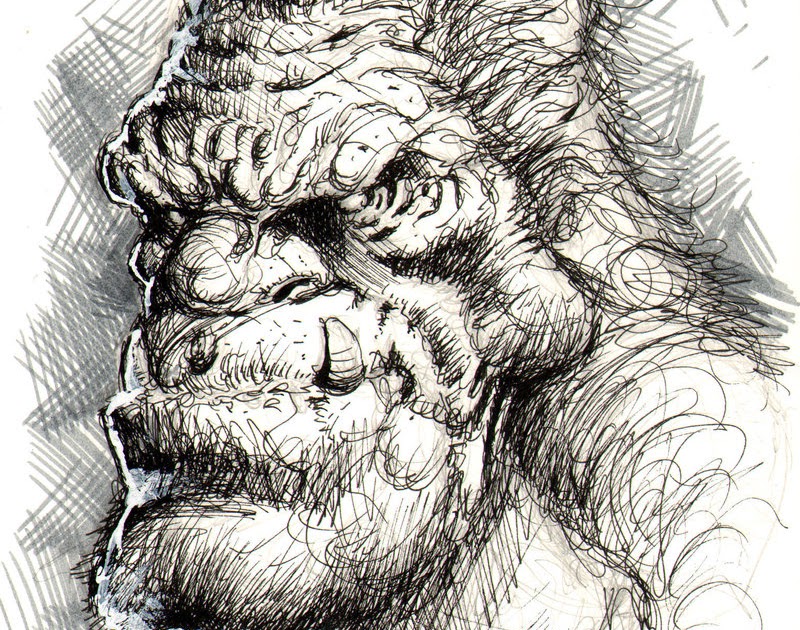 800x630 The Yeti Speaks! Convention Sketch By Danny Cruz! - Fiona Staples Sketch
