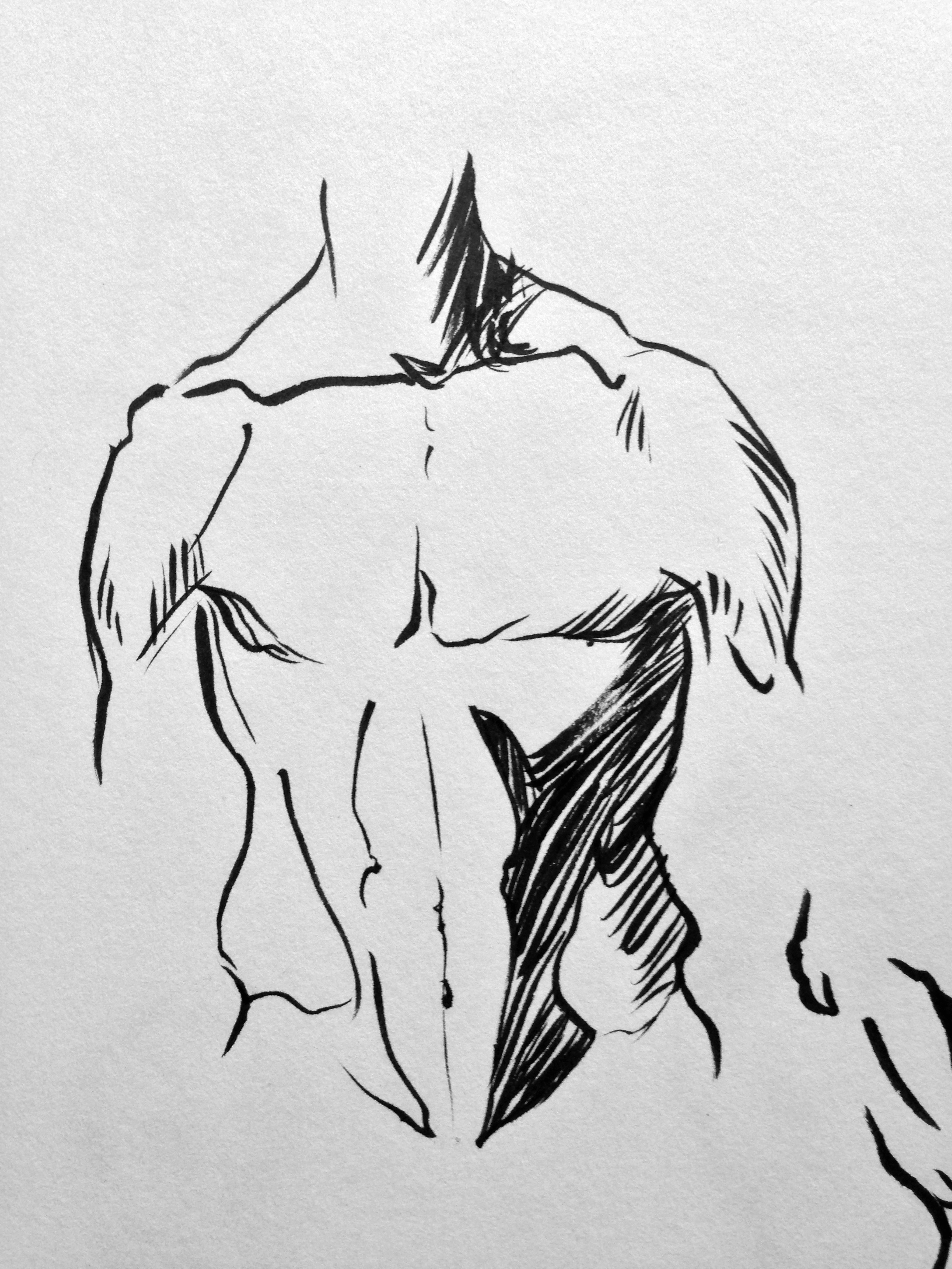 2448x3264 Anatomy Archives - Fiona Staples Sketch