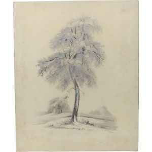 300x300 Original Signed Unframed Victorian Antique Fir Tree Landscape - Fir Tree Sketch
