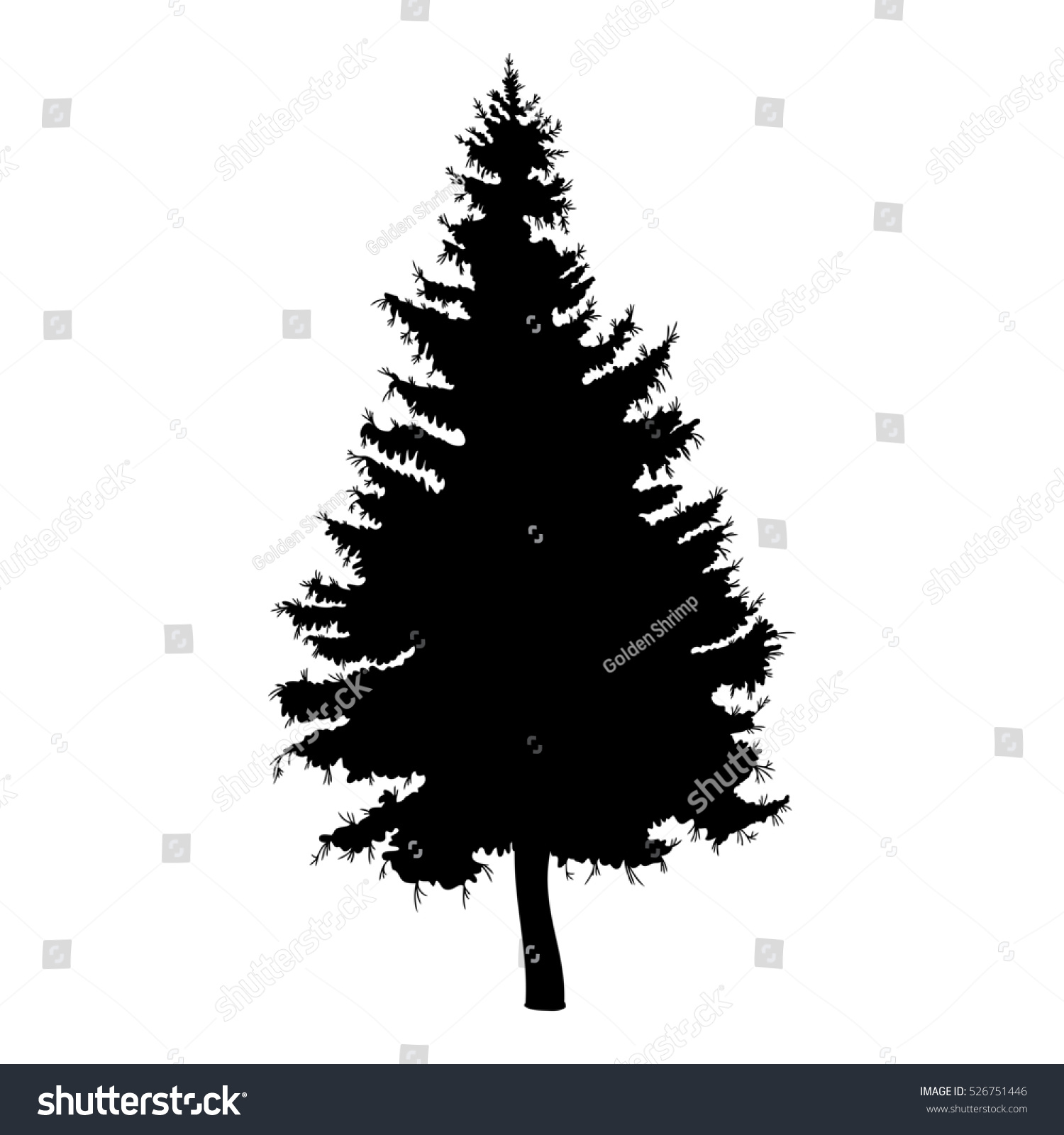 1500x1600 Drawn Fir Tree Hand Drawn Free Collection Download And Share - Fir Tree Sketch