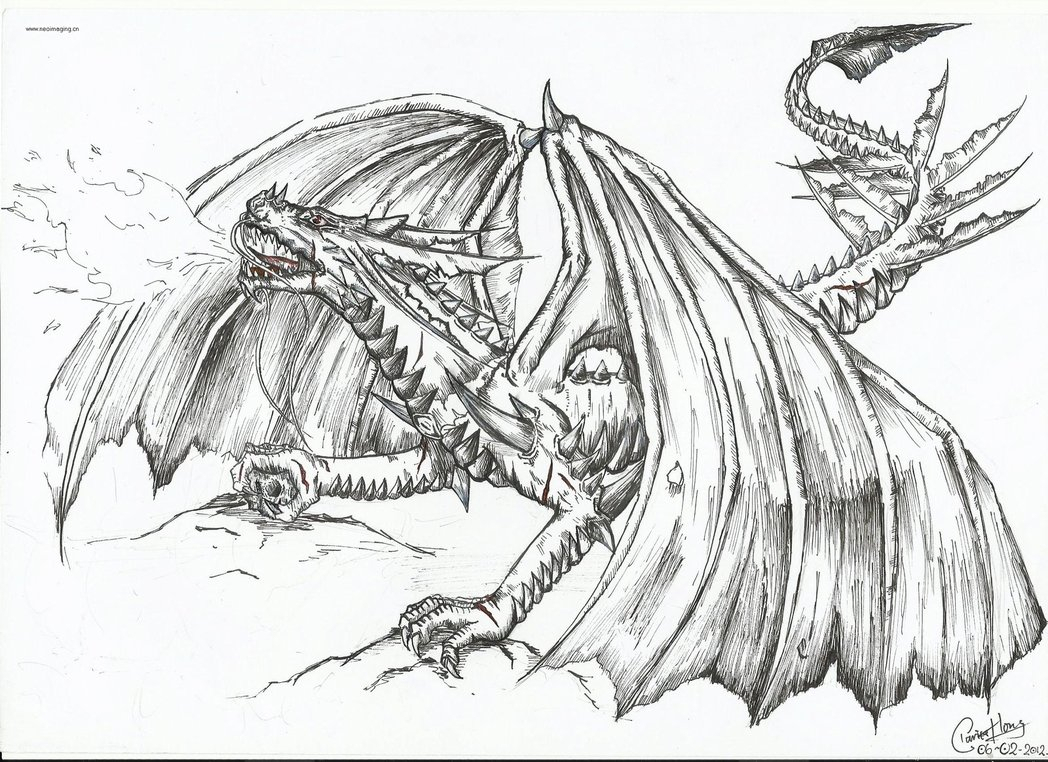 Fire Breathing Dragon Sketch At Explore Collection Of Fire Breathing Dragon 2291