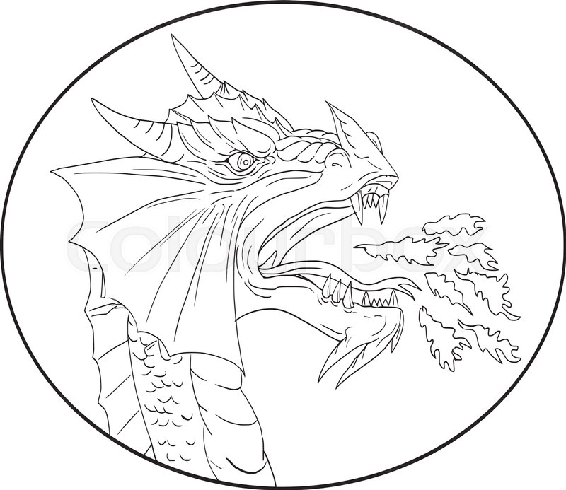 800x693 Drawing Sketch Style Illustration Of A Dragon Breathing Fire - Fire Breathing Dragon Sketch