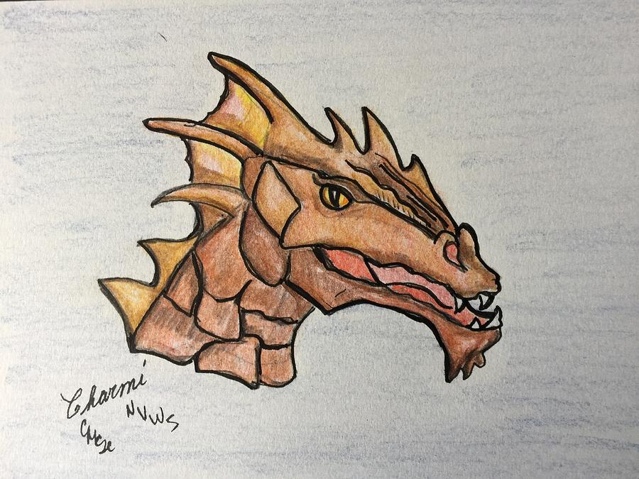 900x675 Fire Dragon Drawing By Charme Curtin - Fire Dragon Sketch