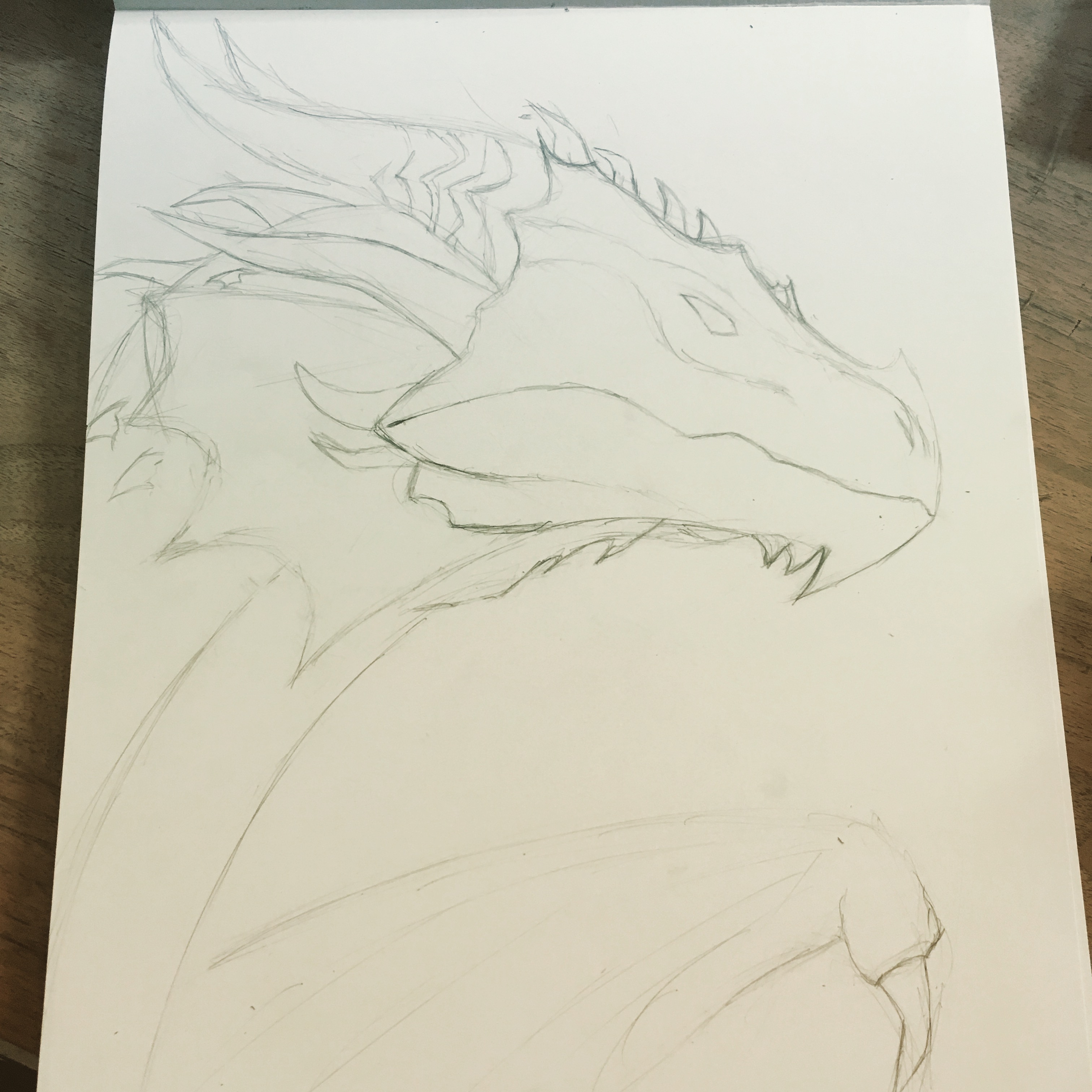 3024x3024 Geodesic Dragon (Fire Dragon( White Wolf Works - Fire Dragon Sketch