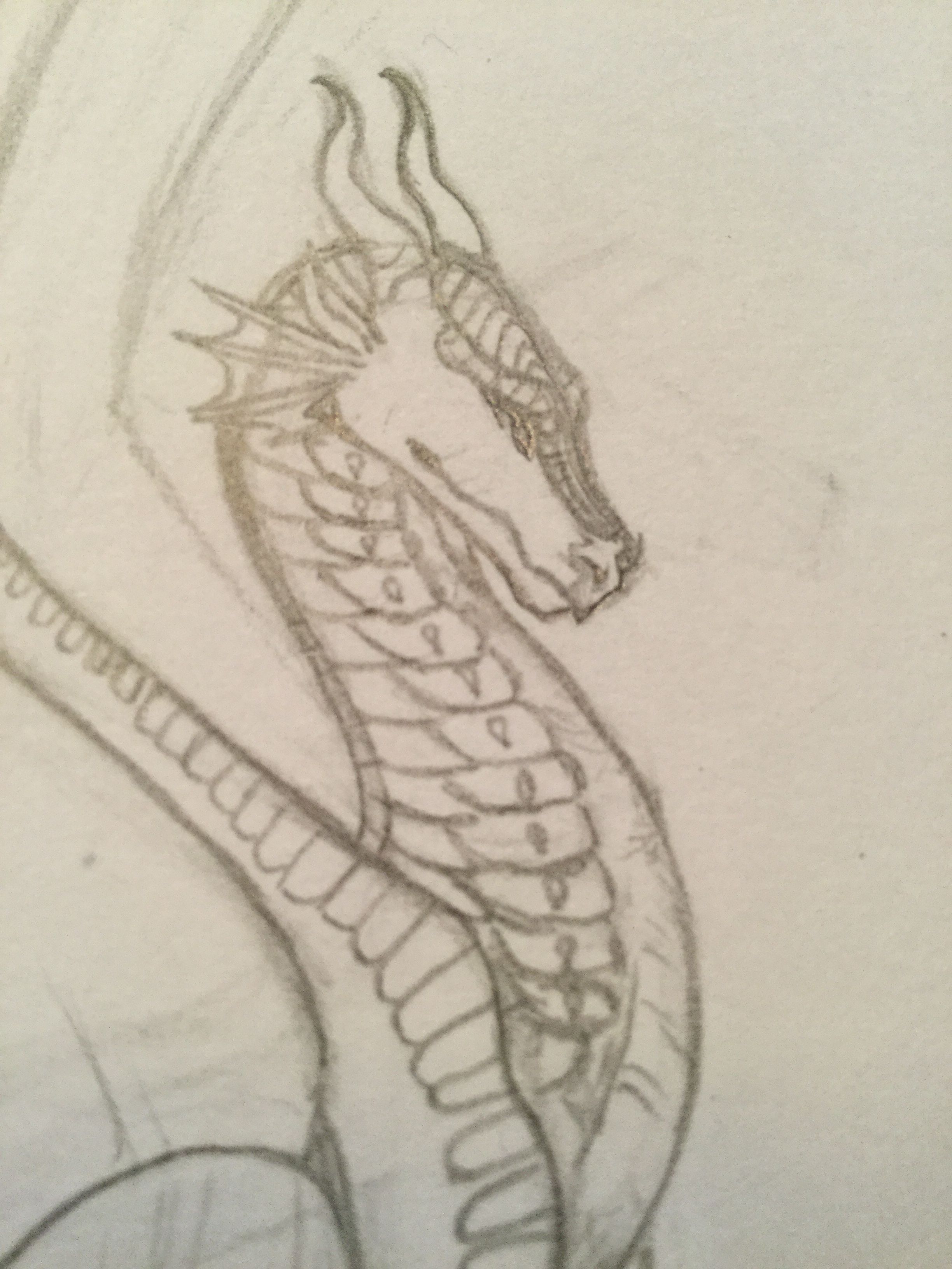 2448x3264 Wing Of Fire Dragon Sketch Art By Mj My Works Of Art - Fire Dragon Sketch