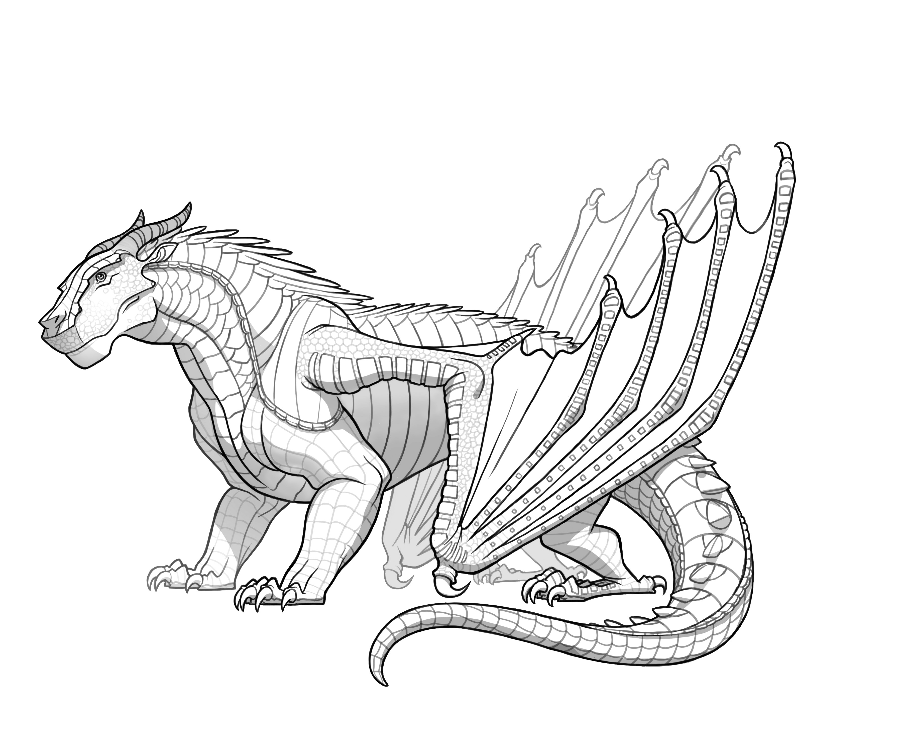 3600x3000 Wings Of Fire Coloring Pages Dragons Sketch - Fire Dragon Sketch