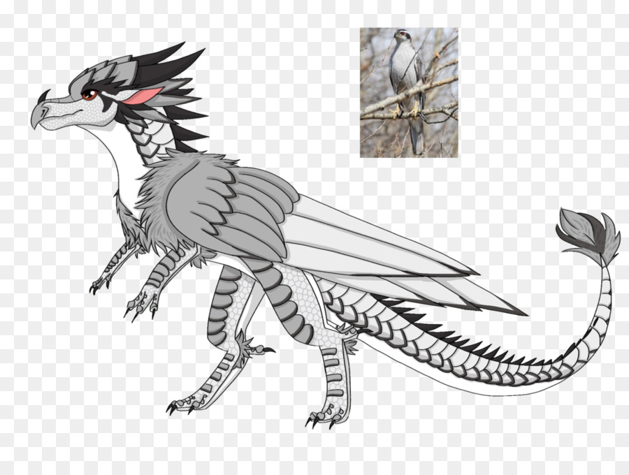 900x680 Drawing Wings Of Fire Dragon - Fire Dragon Sketch