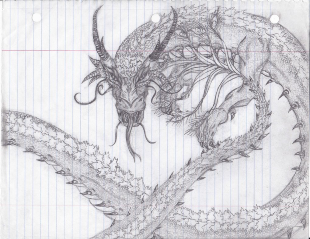 1019x784 Drawn Paper Dragon - Fire Dragon Sketch