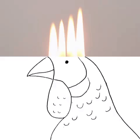 480x480 Fire Sketch Gif By Cintascotch - Fire Sketch