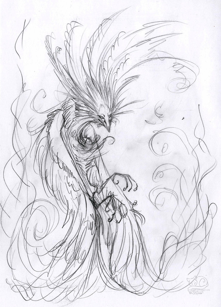 758x1054 Firebird Sketch1 By Vattukatt - Firebird Sketch