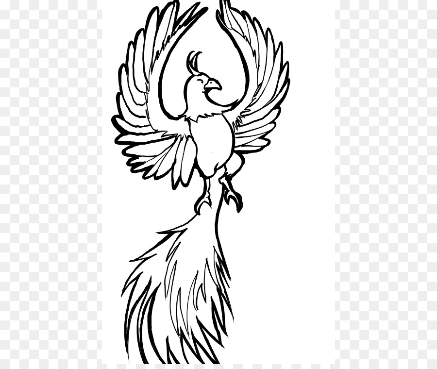 900x760 Phoenix Drawing Firebird Line Art Clip Art - Firebird Sketch