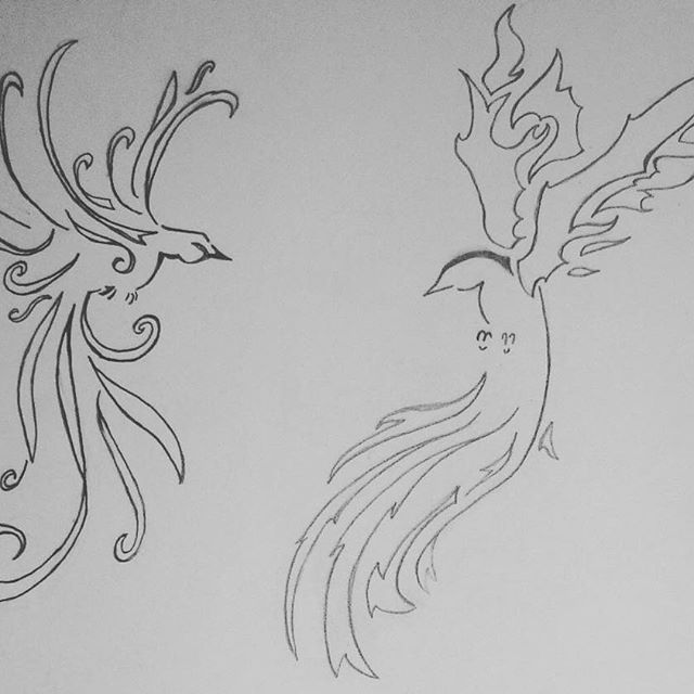 640x640 Saw An Amazing Sketch Of Two Birds, One Of Fire And One Of Water - Firebird Sketch