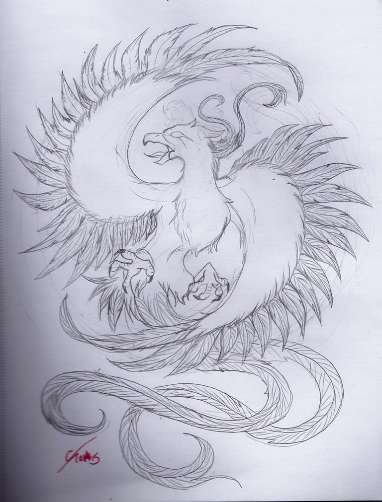768x1011 Firebird Sketch By Fyredragonqueen - Firebird Sketch