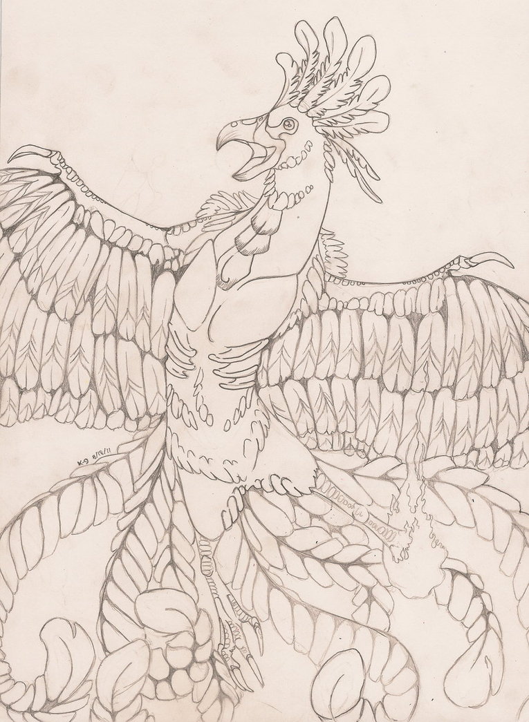 765x1045 Firebird - Firebird Sketch