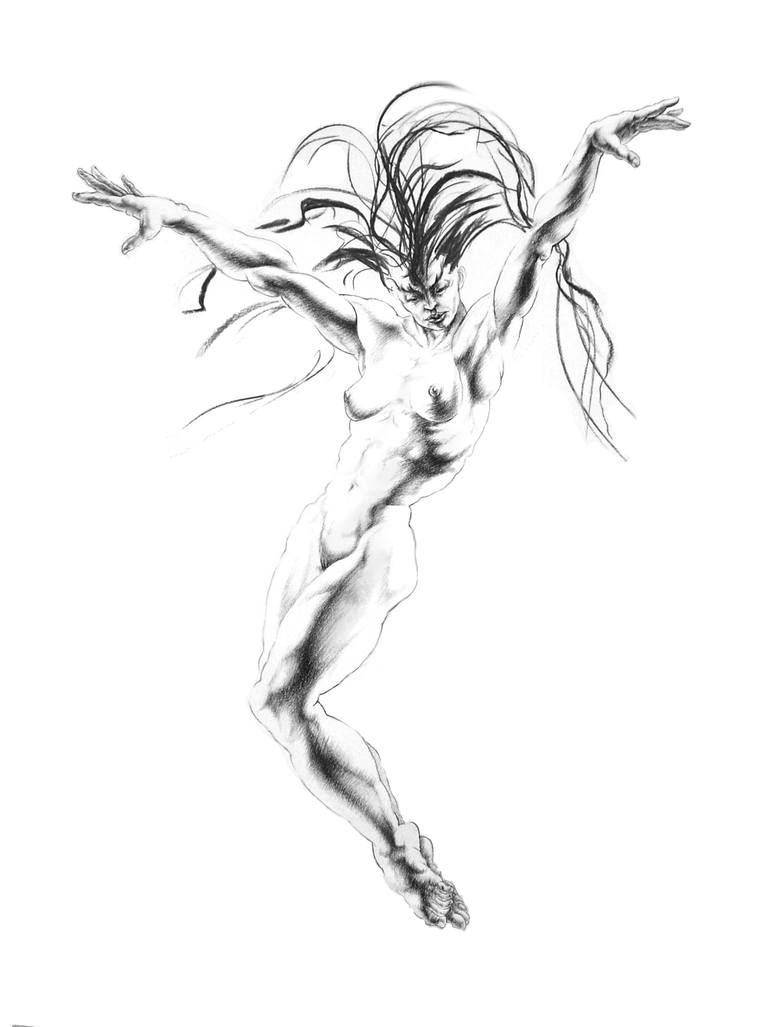770x1027 Firebird Drawing By Richard Claraval Saatchi Art - Firebird Sketch