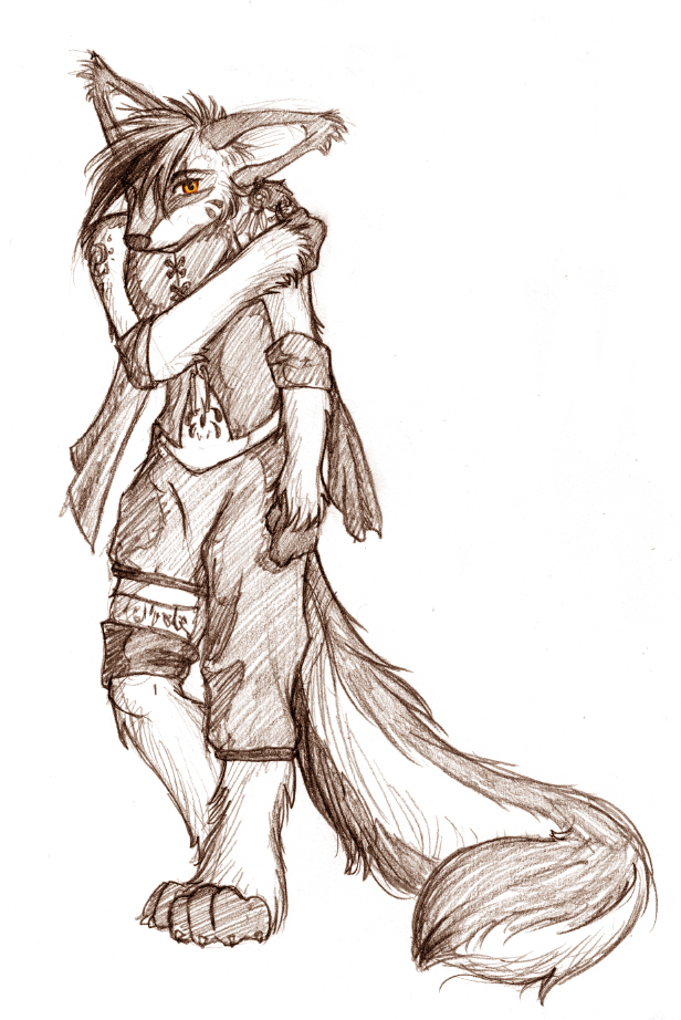 616x922 Firefly Sketch - Firefly Sketch