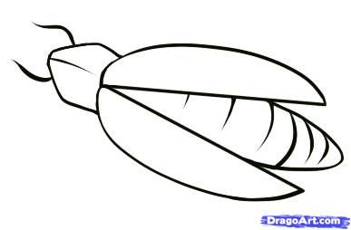 387x254 How To Draw A Firefly, Step By Step, Bugs, Animals, Free Online - Firefly Sketch