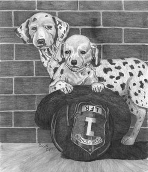 297x345 Dalmation Puppy Pencil Sketch - Firehouse Sketch