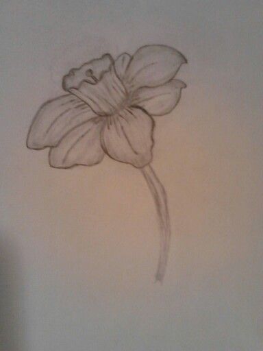 384x512 My Very First Sketch. I Aways Wanted To Be Able To Draw But Never - First Sketch