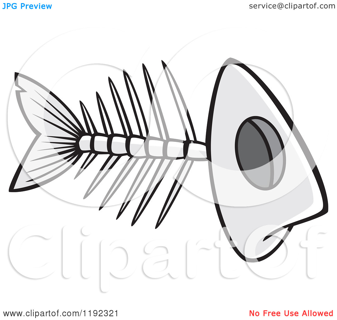 1080x1024 Fish Skeleton Clipart - Fish Bone Sketch