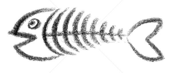 600x255 Fishbone Stock Photos, Stock Images And Vectors Stockfresh - Fish Bone Sketch