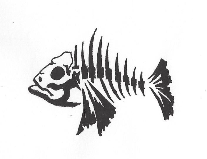 704x541 Pin By Grace Wagner On Fish Fish Skeleton, Fish And - Fish Bone Sketch