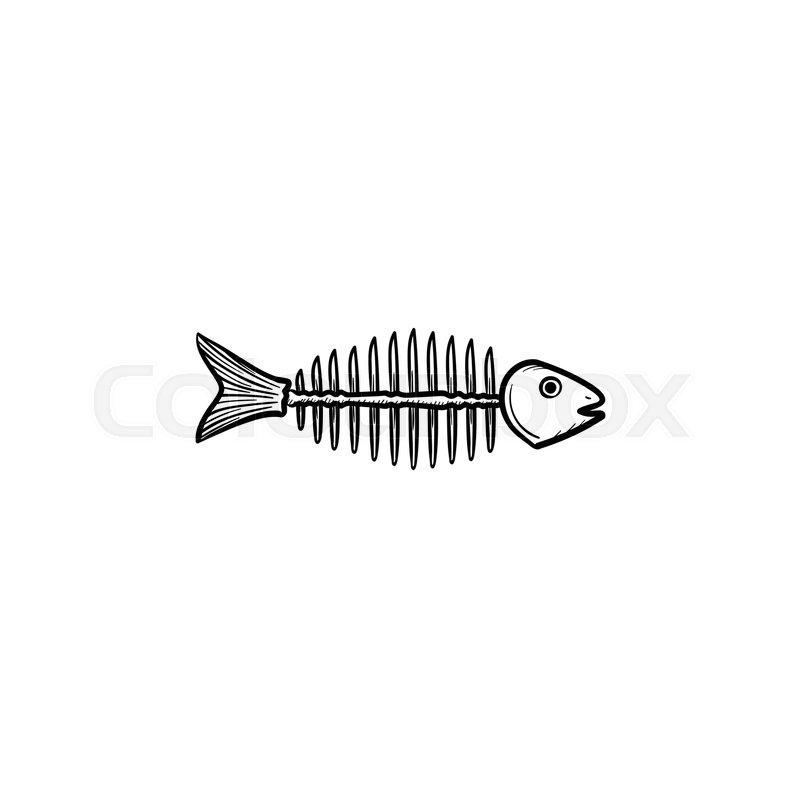 800x800 Rotten Fish Skeleton With Bones Hand Drawn Outline Doodle Icon - Fish Bone Sketch