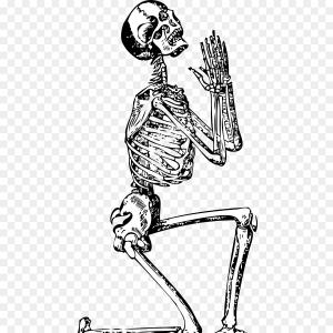 300x300 Sketch Of Fish Bone Skeleton Vector Clipart Arenawp - Fish Bone Sketch