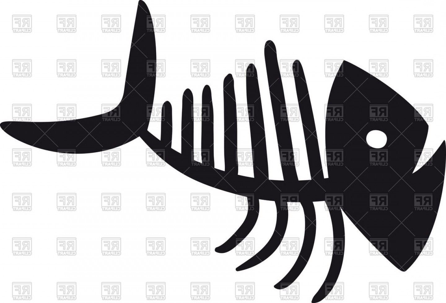 1440x979 Sketch Of Fish Bone Skeleton Vector Clipart Geekchicpro - Fish Bone Sketch