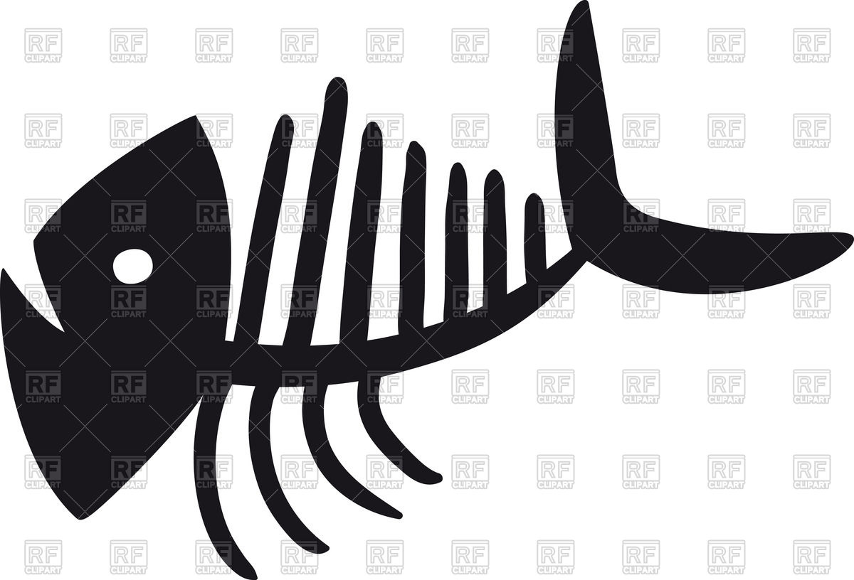 1200x816 Sketch Of Fish Bone - Fish Bone Sketch