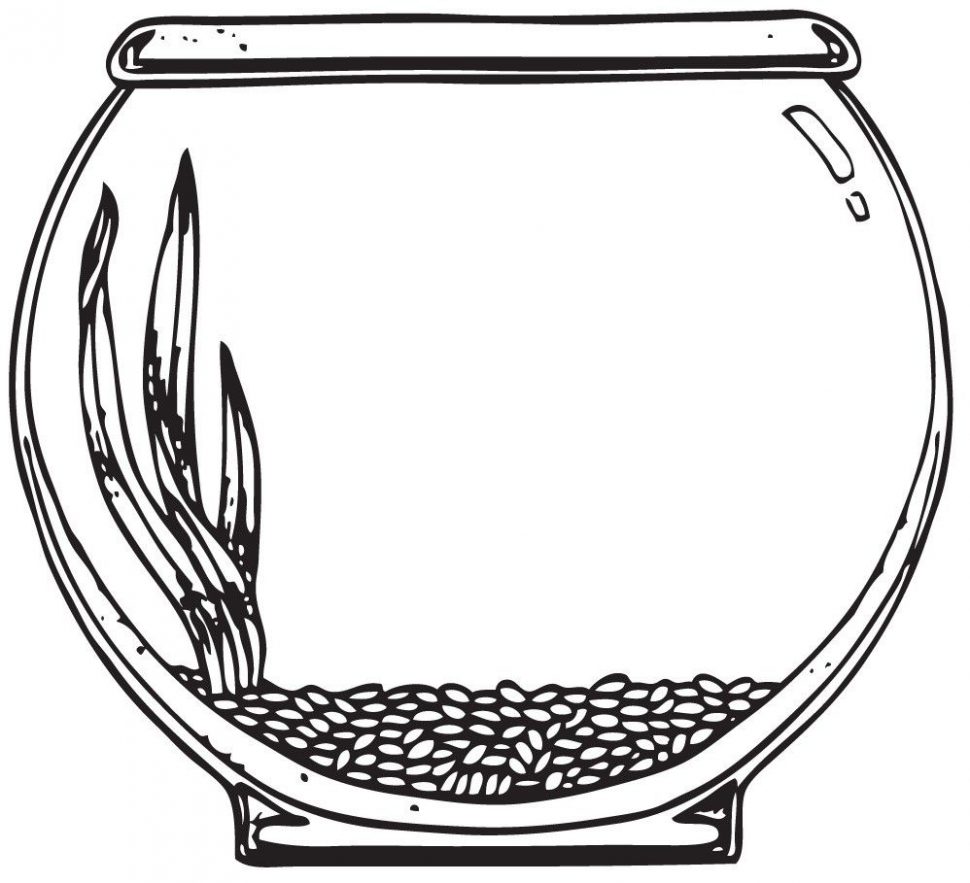 Fish Bowl Sketch at Explore collection of Fish