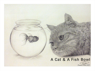 320x240 Liked Drawings By Linchan - Fish Bowl Sketch